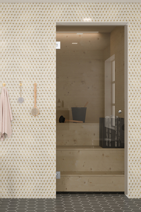 Sauna glass door Classic C61 Special Batch